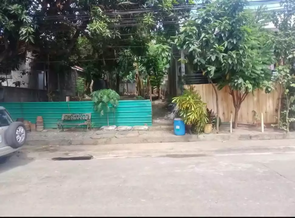 For Sale: Residential Lot in Pasong Tamo, Quezon City — 200 sqm — Residential Lot in Quezon City, Metro Manila, 1101 — Photo 3
