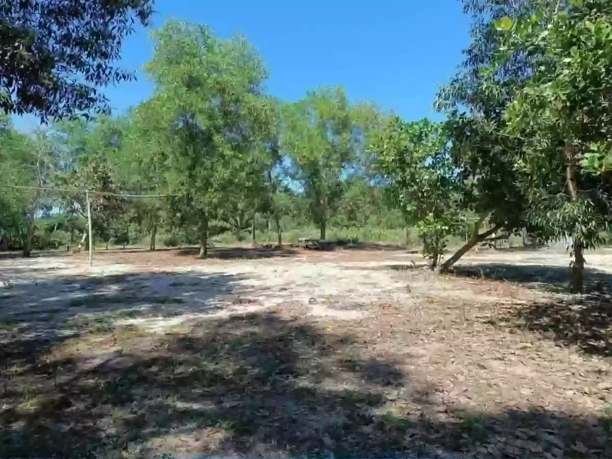 For Sale Beach Lot in Nauhang, Sipalay — 2212 sqm — Beach Lot in Sipalay, Negros Occidental, 6113 — Photo 5