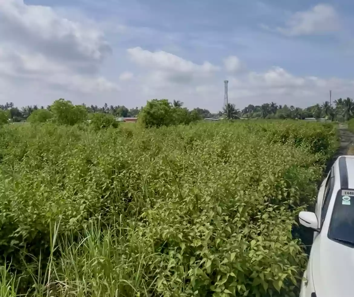 For Sale: Residential Lot in Silway 8, Polomolok — 3830 sqm — Residential Lot in Polomolok, South Cotabato, 9504 — Photo 6