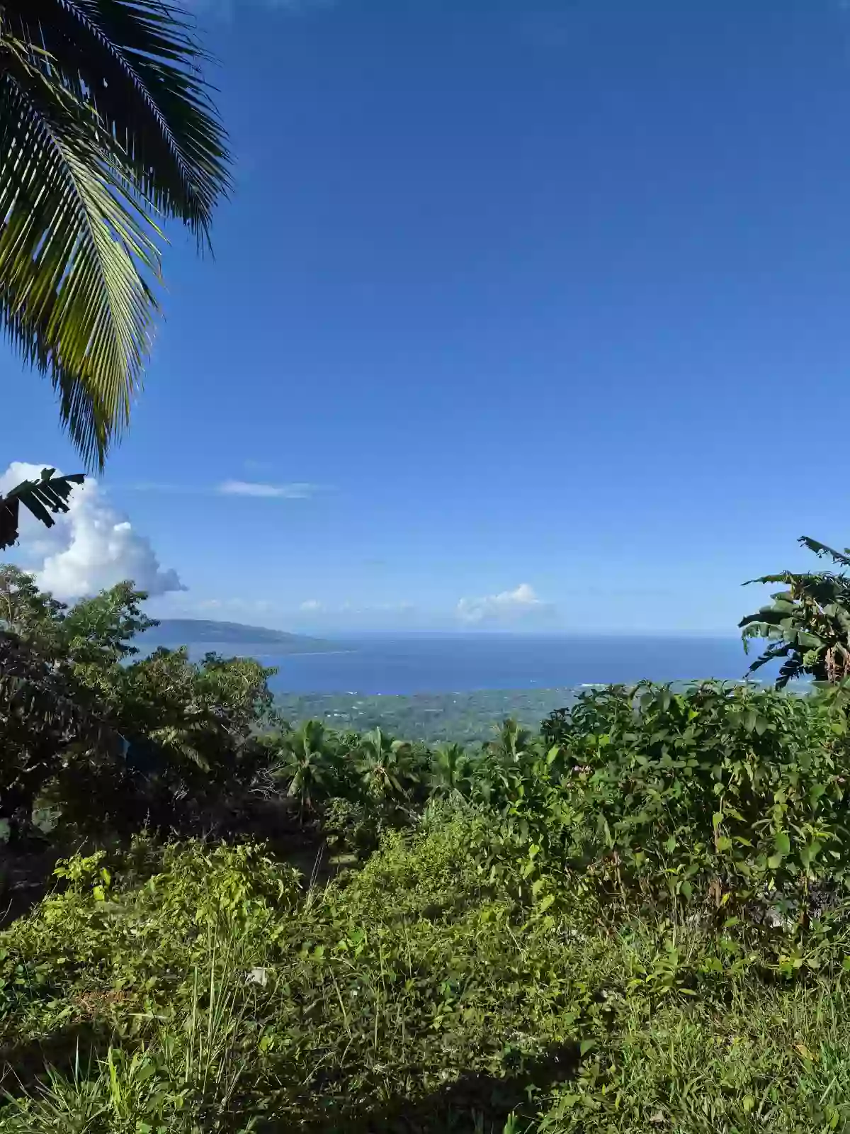 For Sale: Residential Lot in San Antonio, Sibulan — 300 sqm — Residential Lot in Sibulan, Negros Oriental, 6201 — Photo 5