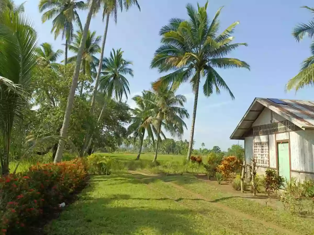 For Sale: Beach Lot in Aramaywan, Quezon, Palawan — 29955 sqm — Beach Lot in Quezon, Palawan, 5304 — Photo 5