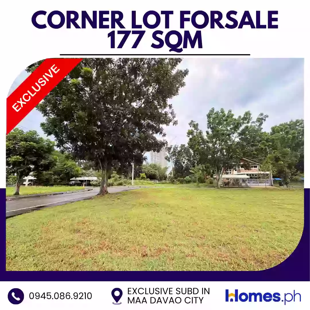 For Sale: Residential Lot in Ma-a, Davao City — 177 sqm Corner Lot — Residential Lot in Davao City, Davao del Sur, 8000 — Photo 4