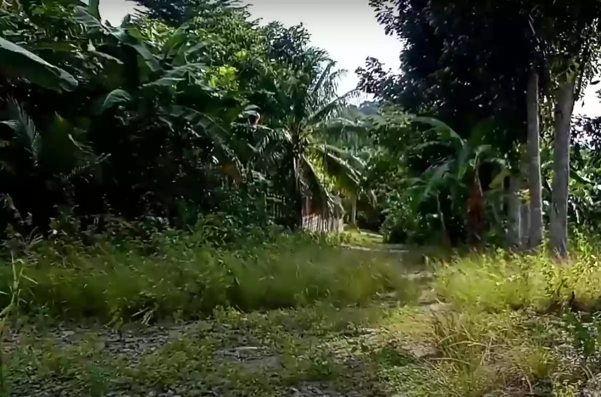 For Sale: Residential Lot in Luinab, Iligan City — 800 sqm — Residential Lot in Iligan City, Lanao del Norte, 9200 — Photo 5
