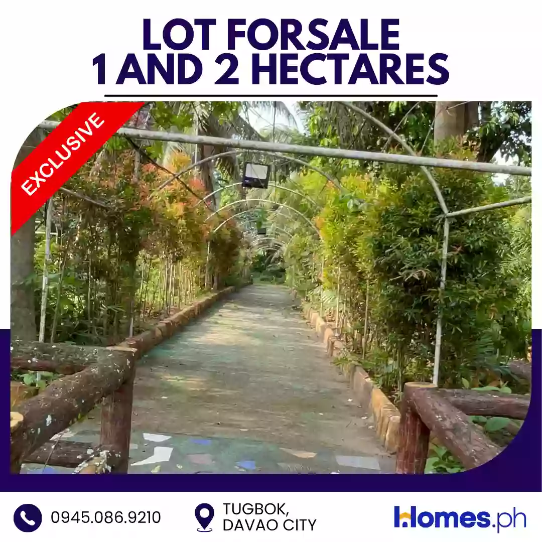For Sale: Residential Lot in Tugbok (Pob.), Davao City — 30000 sqm — Residential Lot in Davao City, Davao del Sur, 8000 — Photo 7