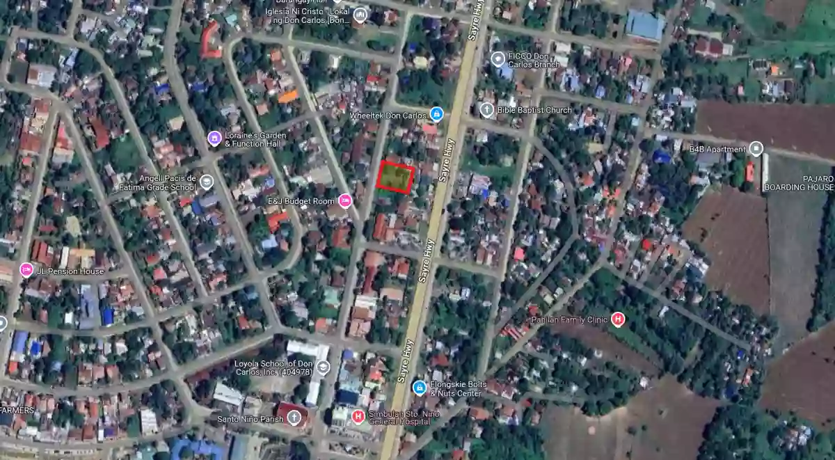Residential Lot — Residential Lot in Don Carlos, Bukidnon, 8712 — Photo 4