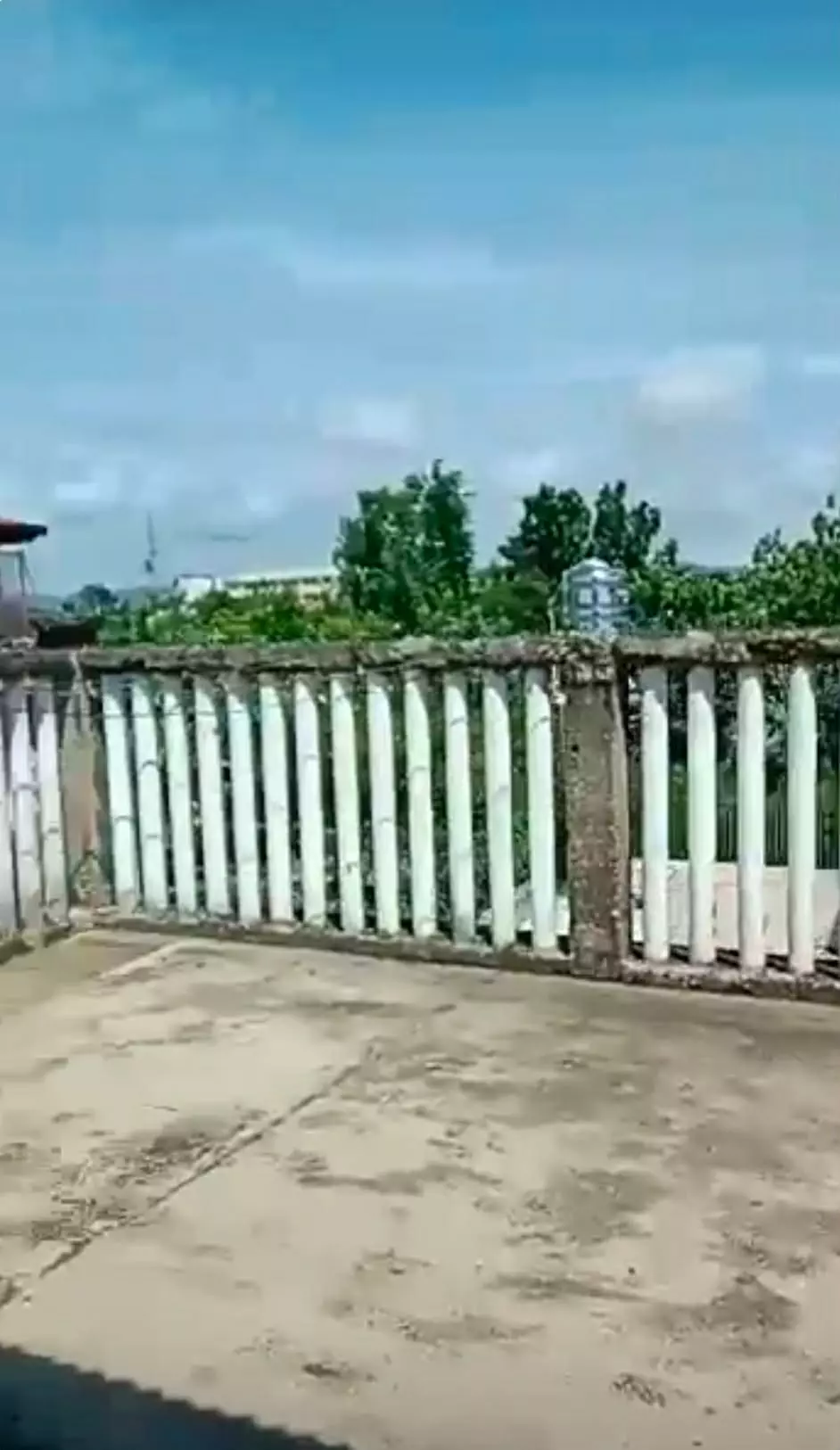 Rush Sale: income generating apartment — Apartment in Gun-ob, Lapu-lapu City, Cebu — Photo 3