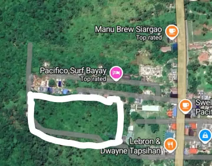 Rush Sale: PACIFICO SIARGAO LOT — Commercial Lot in San Isidro, Surigao del Norte, 8421 — Photo 3