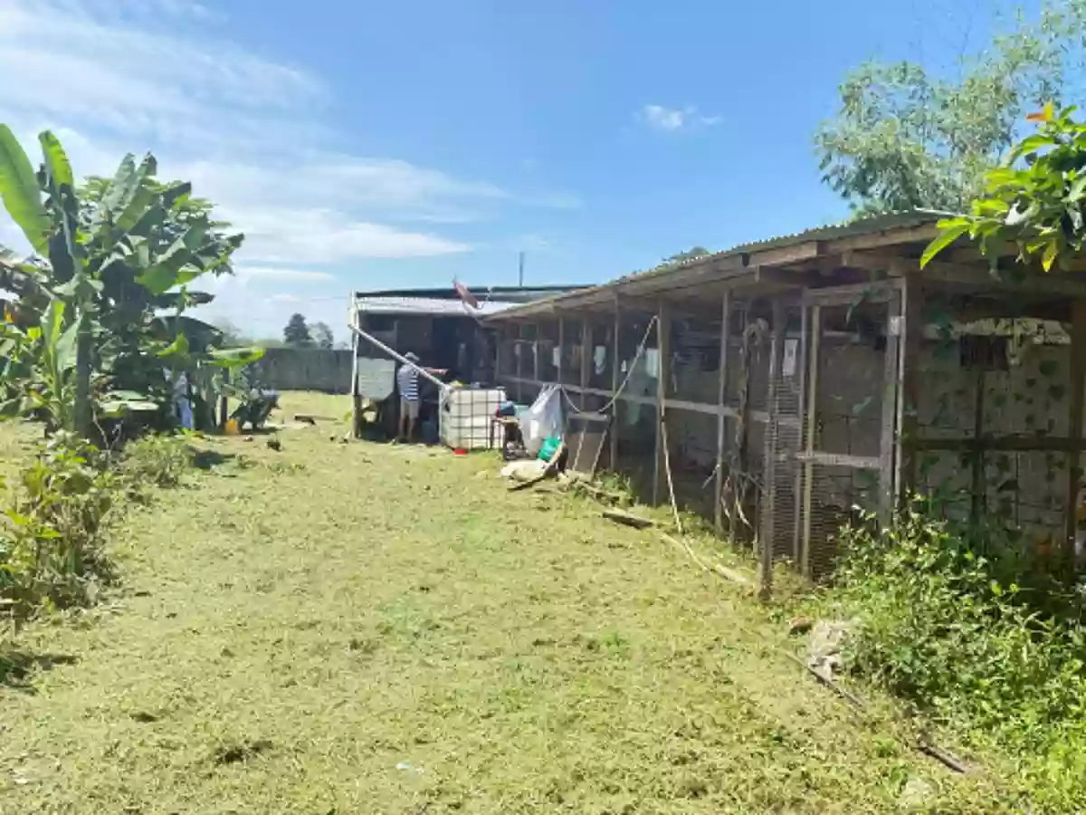 Residential Lot for Sale Near Malaybalay City Tree Park, Malaybalay — San Jose — Residential Lot in Malaybalay, Bukidnon, 8700 — Photo 4