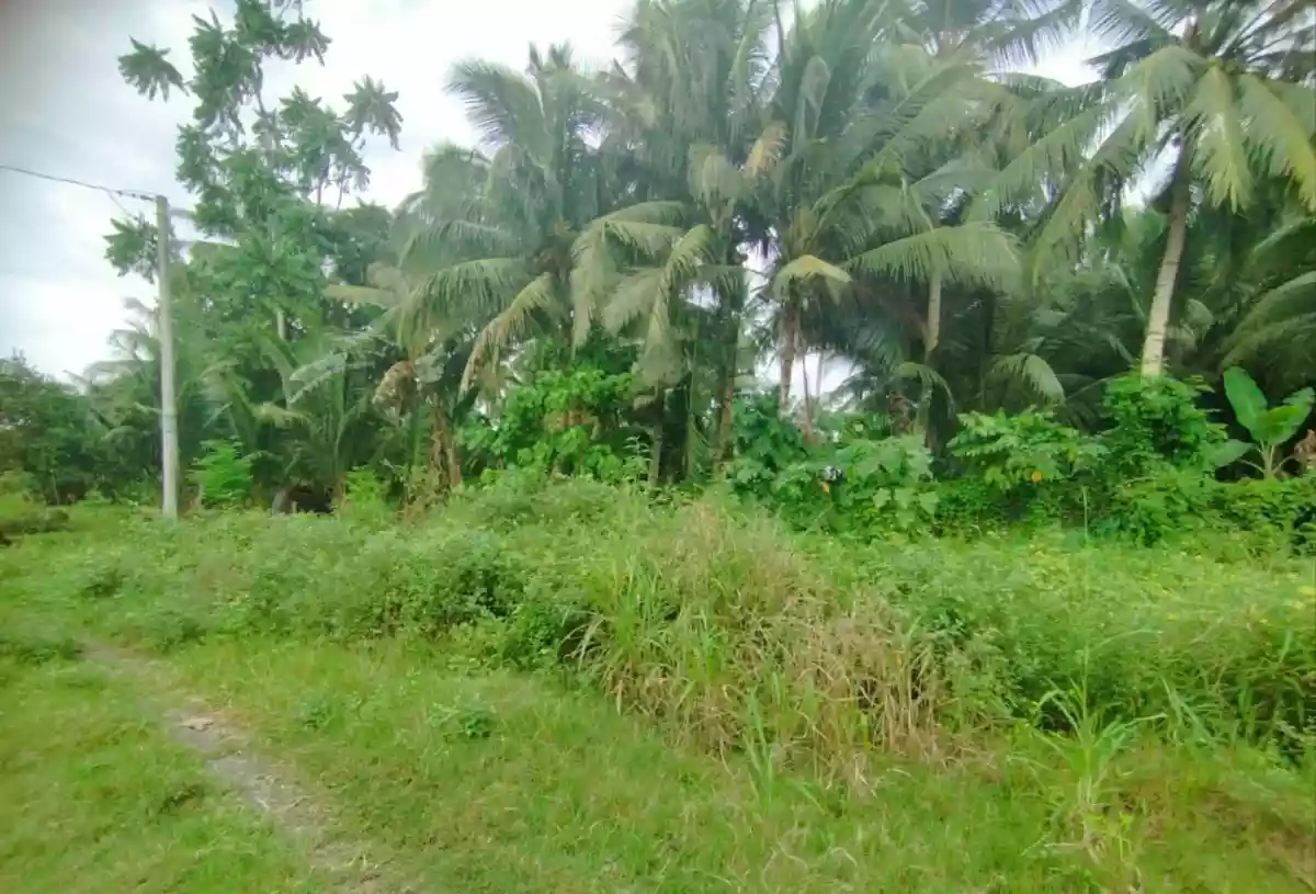 For Sale: Residential Lot in Ligaya, General Santos City — 488 sqm — Residential Lot in General Santos City, South Cotabato, 9500 — Photo 3