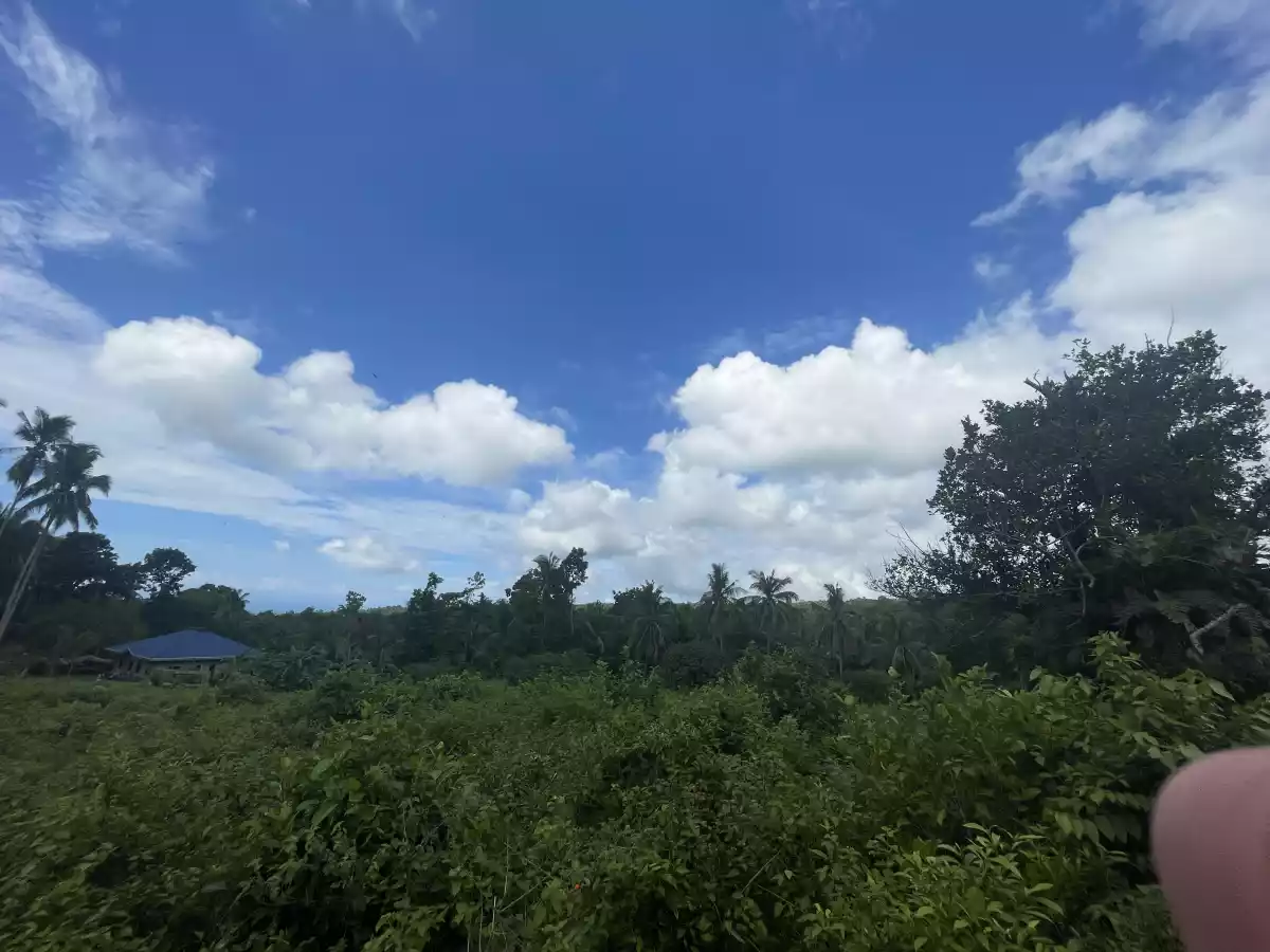 For Sale Agricultural Lot in Panubtuban, Dauin — 7,130 sqm — Agricultural Lot in Dauin, Negros Oriental, 6217 — Photo 5