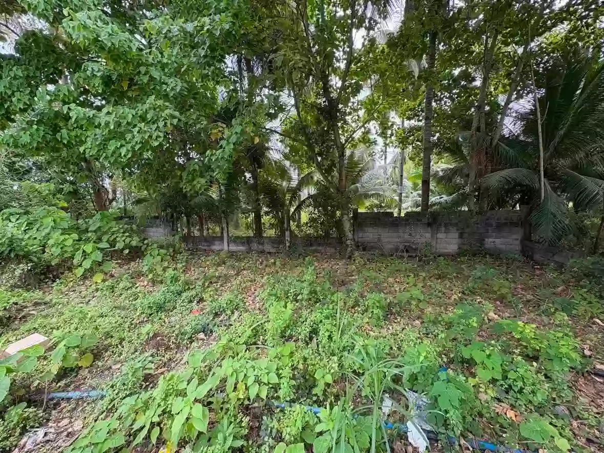 For Sale: Residential Lot in Lutao, Bacung — 400 sqm — Residential Lot in Bacung, Negros Oriental, 6216 — Photo 4