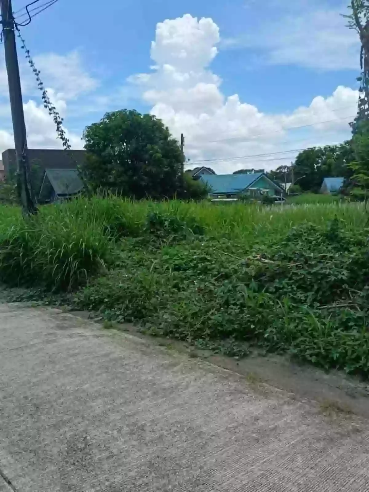 RESIDENTIAL LOT FOR SALE — Residential Lot in Naga City, Camarines Sur, 4400 — Photo 5