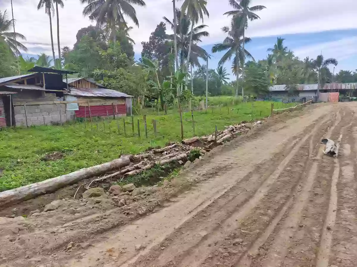 Residential lot for sale — Residential Lot in Butuan City, Agusan del Norte, 8600 — Photo 7