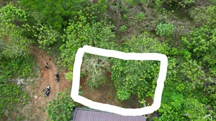 LOT ONLY  in Brgy. San Jose Puerto Princesa City Palawan - photo 4