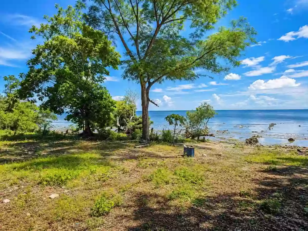 For Sale: Beach Lot in Binduyan, Puerto Princesa City — 6000 sqm — Beach Lot in Puerto Princesa City, Palawan, 5300 — Photo 4