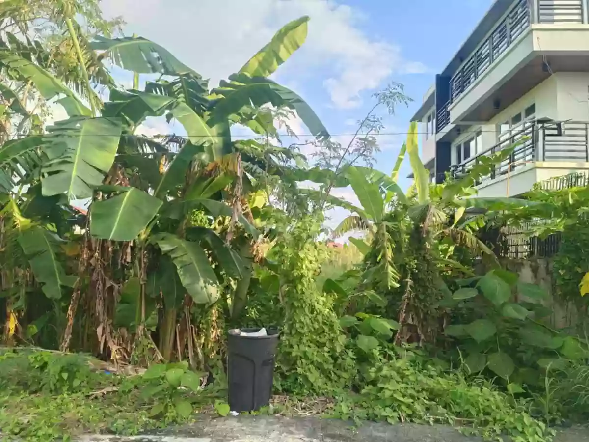 For Sale: Residential Lot Metropolis Subd, Iloilo City — 300 sqm — Residential Lot in Iloilo City, Iloilo, 5000 — Photo 4