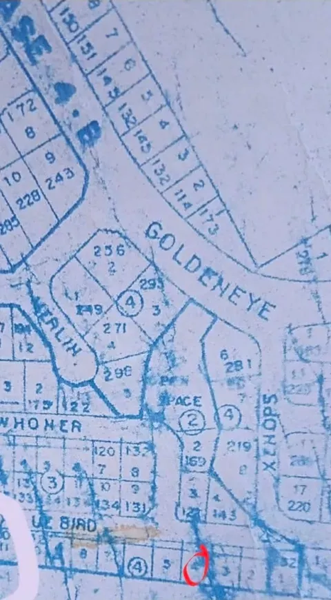 Lot in Montalban, Rizal for only 21,000/sqm, 152sqm — Residential Lot in Taytay, Rizal, 1920 — Photo 2