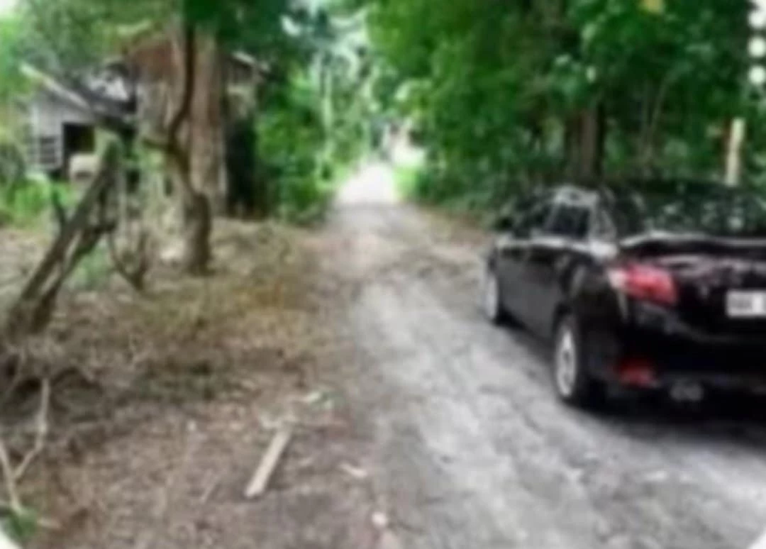 For Sale: Residential Lot in San Isidro, General Santos City — 300 sqm — Residential Lot in San Isidro (Lagao 2nd), General Santos City, South Cotabato — Photo 2