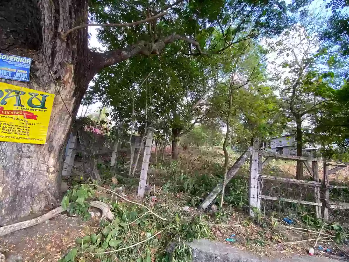 For Sale: Agricultural Lot in Masaplod Sur, Dauin — 3185 sqm — Agricultural Lot in Dauin, Negros Oriental, 6217 — Photo 4