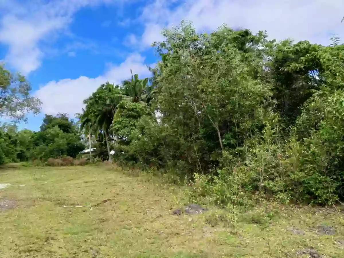 For Sale: Residential Lot in Tawala, Panglao — 200 sqm — Residential Lot in Panglao, Bohol, 6340 — Photo 2