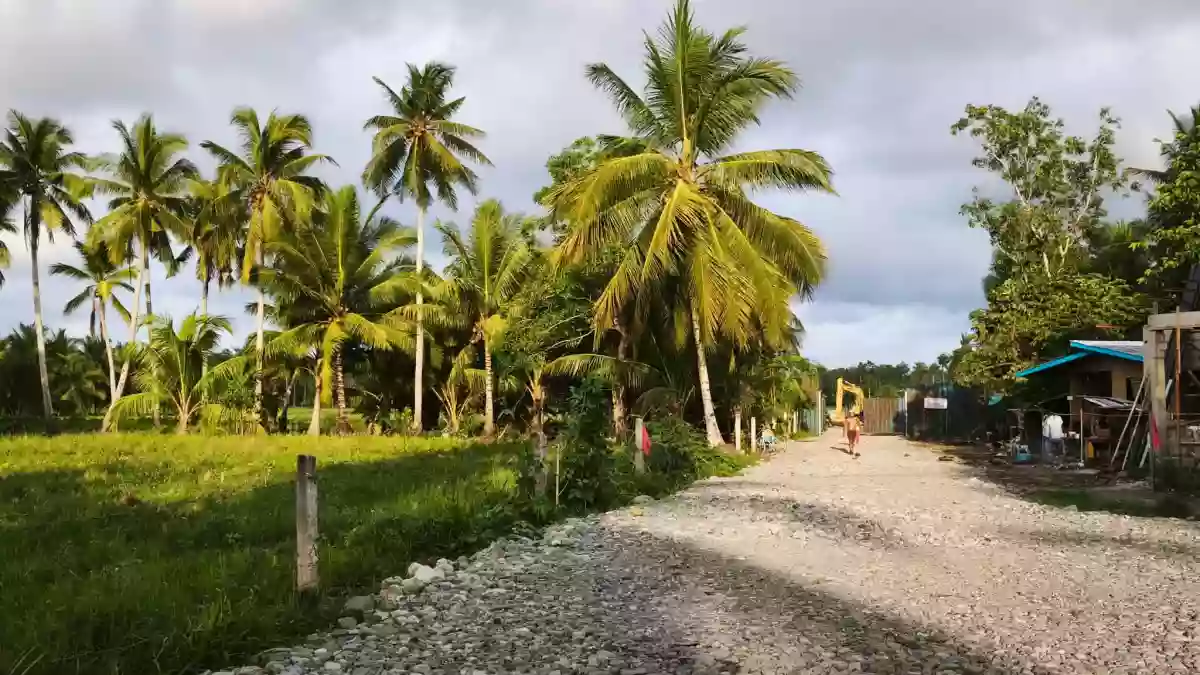 Rush Sale: Agricultural Lot in Abilan, Buenavista — 1000 sqm — Agricultural Lot in Buenavista, Agusan del Norte, 8601 — Photo 7