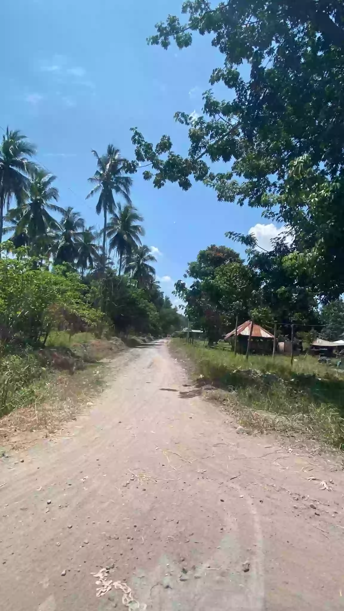 For Sale: Agricultural Lot in Carpenter Hill, Koronadal — 28681 sqm — Agricultural Lot in Koronadal, South Cotabato, 9506 — Photo 2