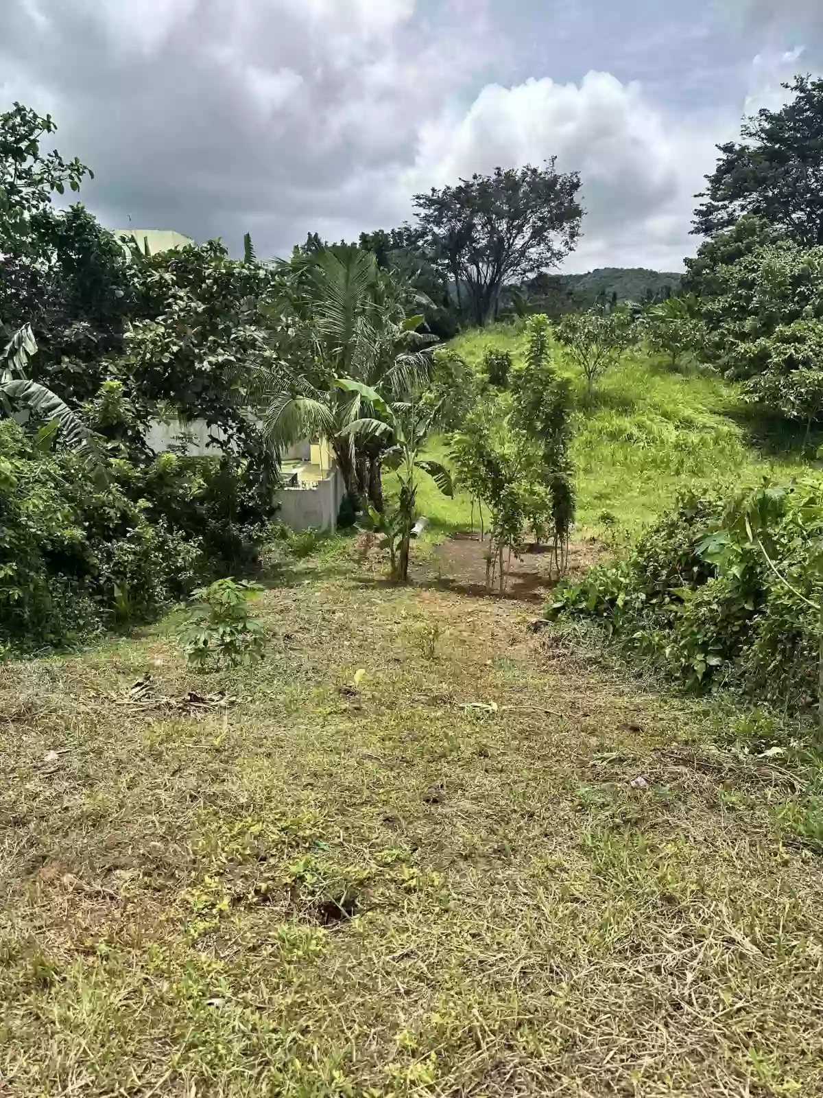 For Sale: Pasong Langka Residential Lot in Silang — 500 sqm Investment — Residential Lot in Silang, Cavite, 4118 — Photo 2
