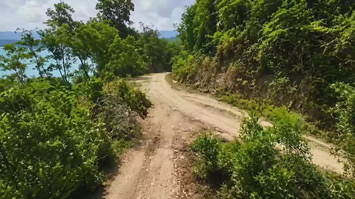 Prime Beachfront Titled Property for Sale | 11,000 SQM | Brgy. Bebeladan, El Nido, Palawan — Beach Lot in Bebeladan, El Nido (Baquit), Palawan — Photo 4