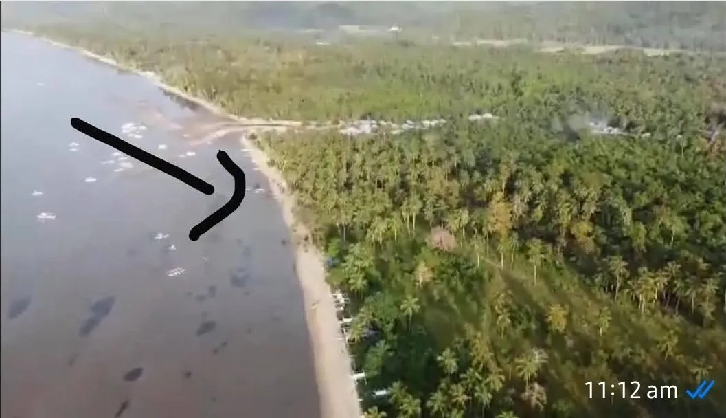 For Sale: Lucbuan Beach Lot in Puerto Princesa City — 195329 sqm Investment