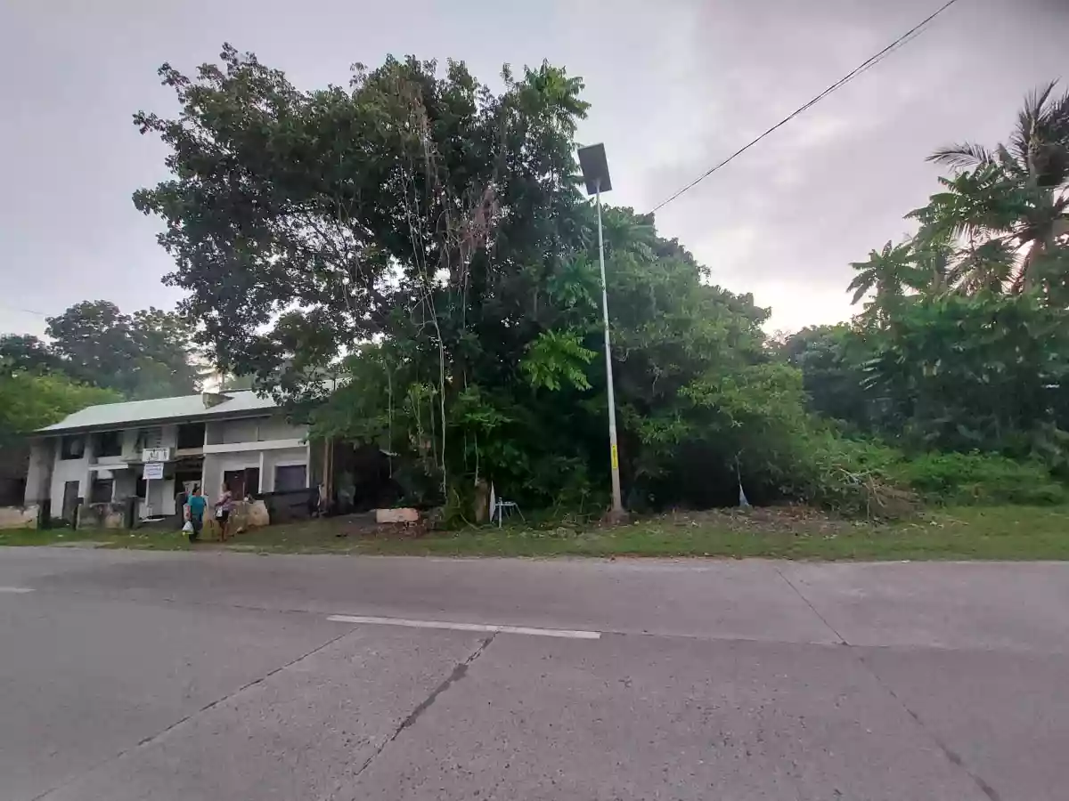 FOR SALE Lot in Catarman, Dauis, Bohol along the National Road — Commercial Lot in Dauis, Bohol, 6339 — Photo 5