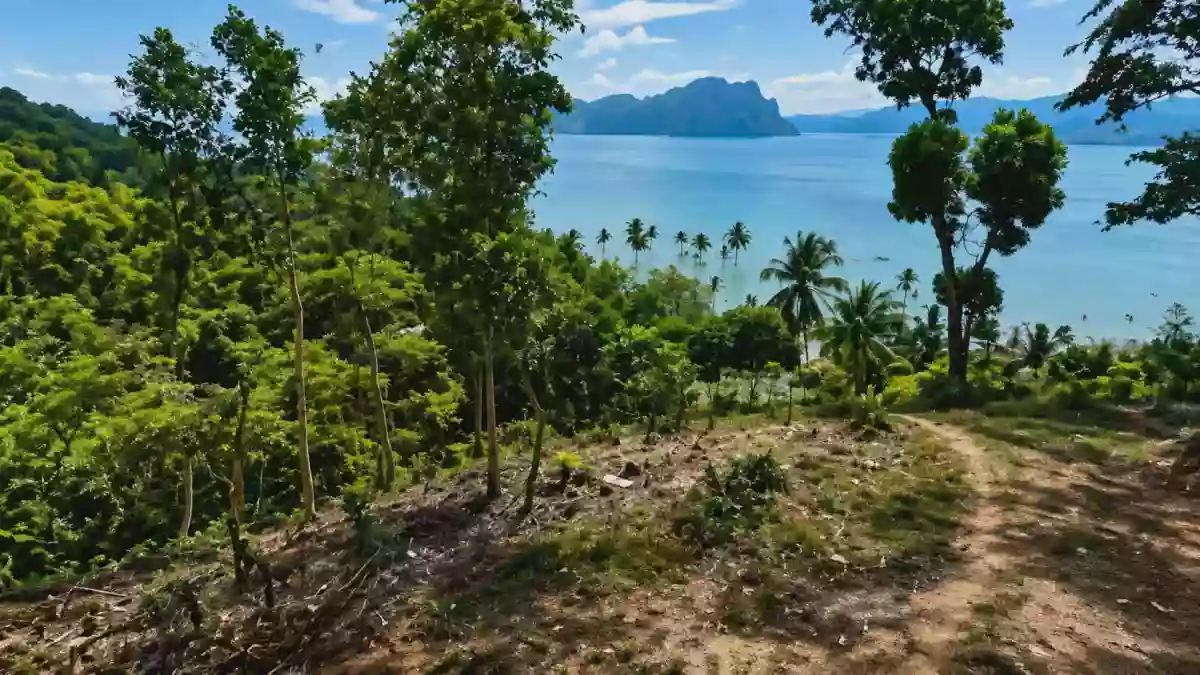 RUSH SALE | BEACH LOT FOR SALE IN BEBELADAN, EL NIDO, PALAWAN — Beach Lot in Bebeladan, El Nido (Baquit), Palawan — Photo 6