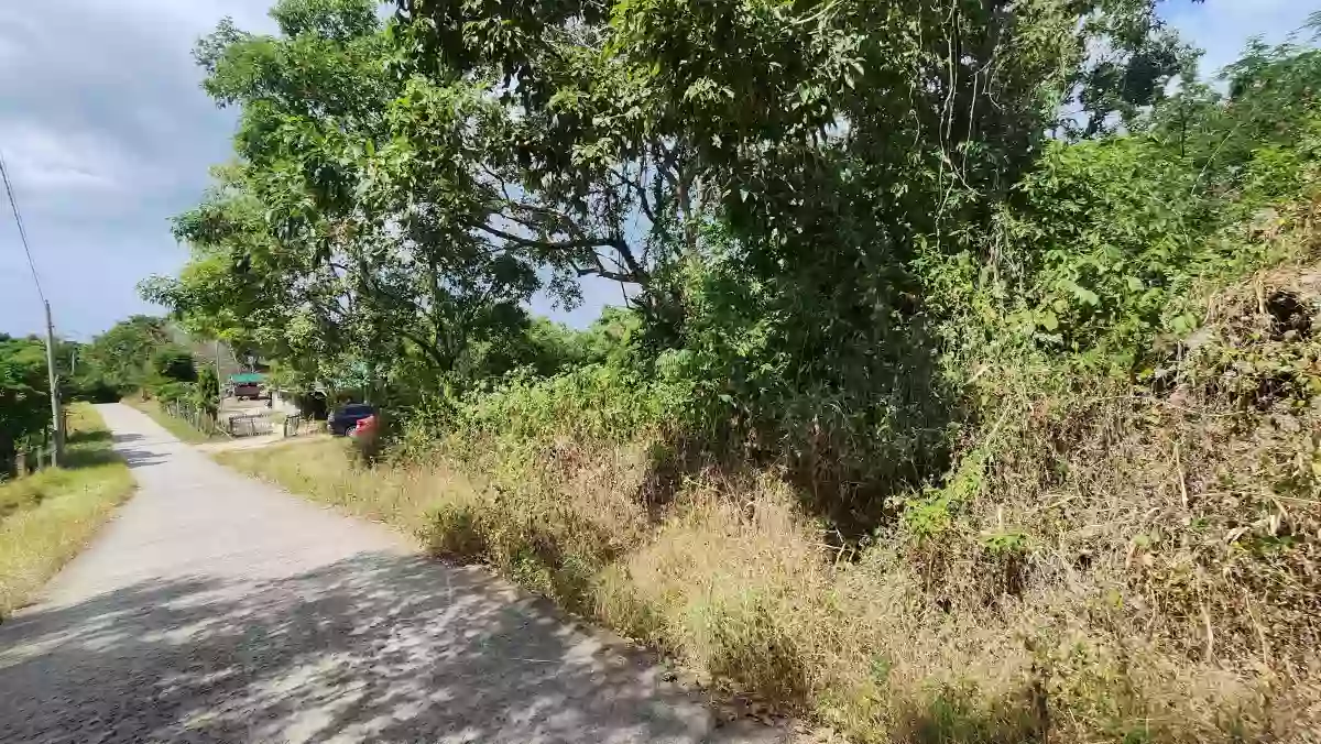 For Sale: 2-Hectare Ocean-View Property – Ideal Investment — Agricultural Lot in Calatagan, Batangas, 4215 — Photo 3