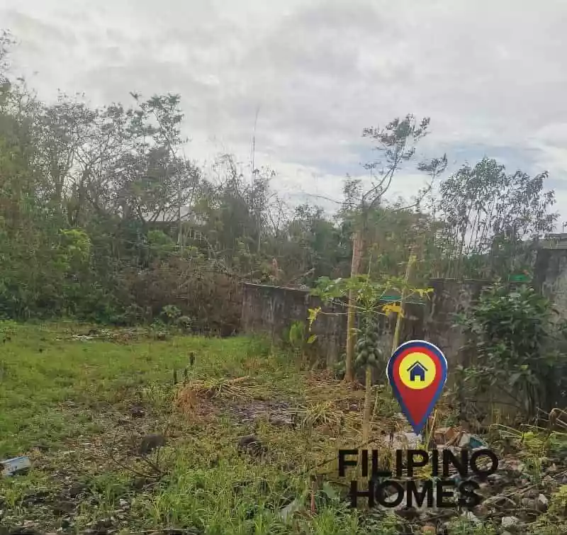 130 sqm residential lot for sale — Residential Lot in Naga City, Camarines Sur, 4400 — Photo 2