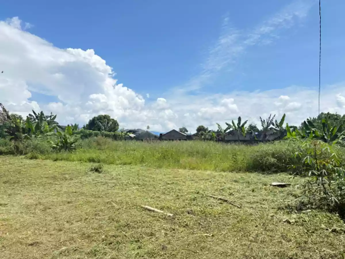 Residential Lot for Sale Near Malaybalay City Tree Park, Malaybalay — San Jose