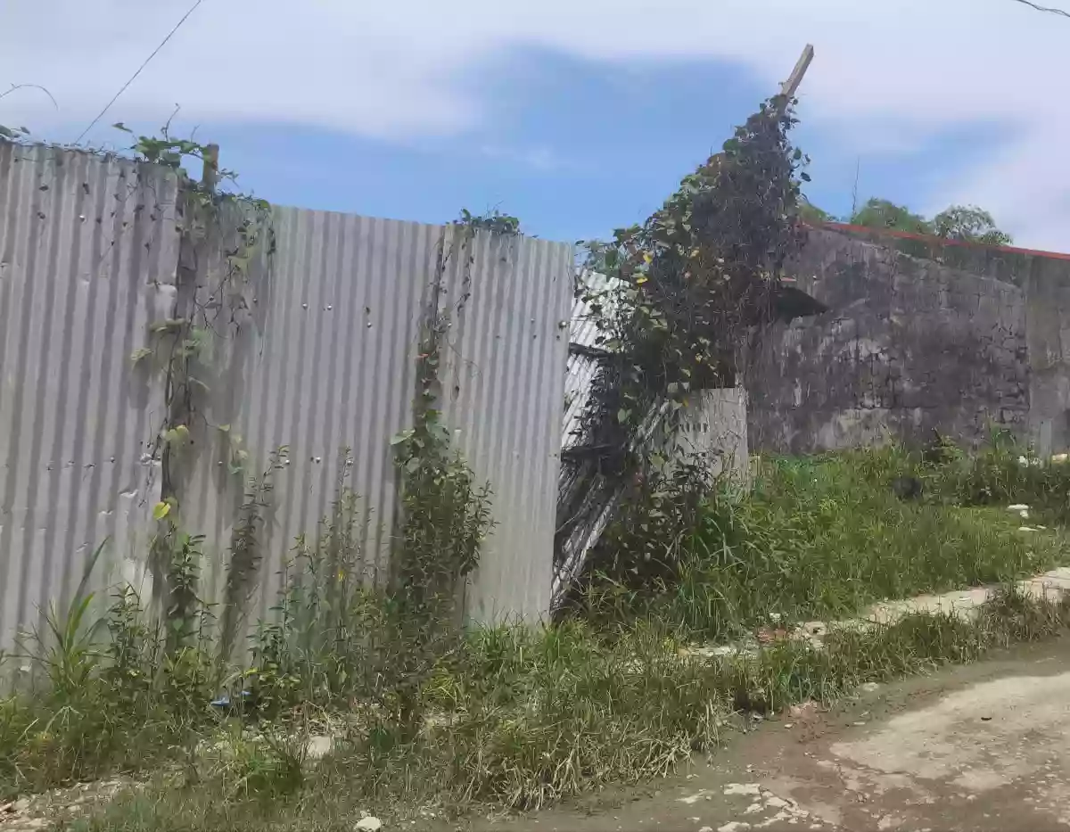 100 sqm Residential Lot for Sale Near Tacloban Astrodome Park, Tacloban City — Residential Lot in Tacloban City, Leyte, 6500 — Photo 2