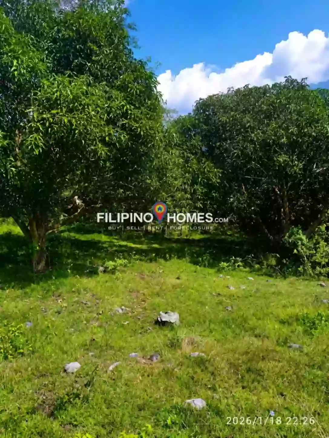 Affordable Farm Lot — Agricultural Lot in Kimarayang, Pigkawayan, Cotabato — Photo 5