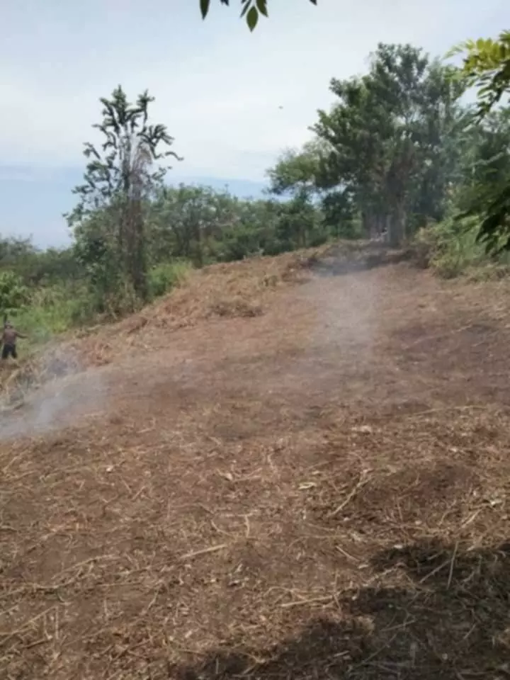 For Sale: Overlooking Lot in Silway 8, Polomolok — 900 sqm — Agricultural Lot in Polomolok, South Cotabato, 9504 — Photo 3