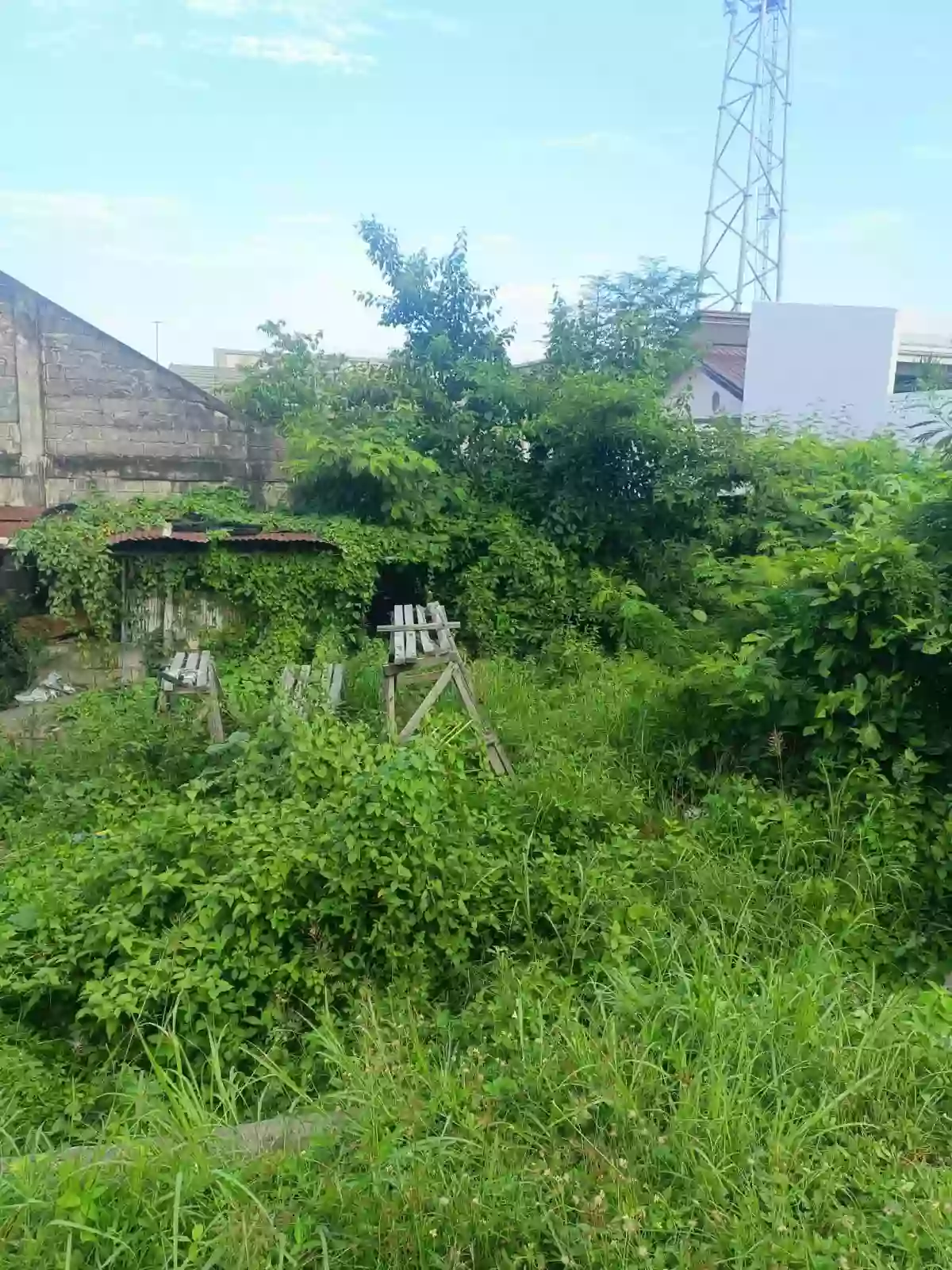 For Sale: Residential Lot in Poblacion I, Dauin — 138 sqm — Residential Lot in Dauin, Negros Oriental, 6217 — Photo 4