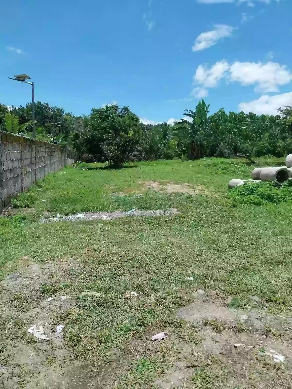 For Sale: Residential Lot Near Spoon Trail,Brgy Alangilan, Bacolod City — 1117 sqm — Residential Lot in Bacolod City, Negros Occidental, 6100 — Photo 6