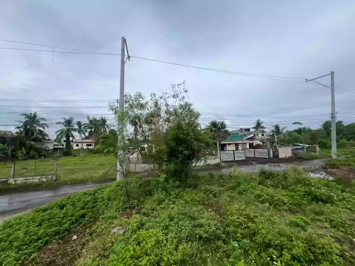 ‼️ LOT FOR SALE – TAYUD, LILOAN, CEBU ‼️ — Residential Lot in Liloan, Cebu, 6002 — Photo 3