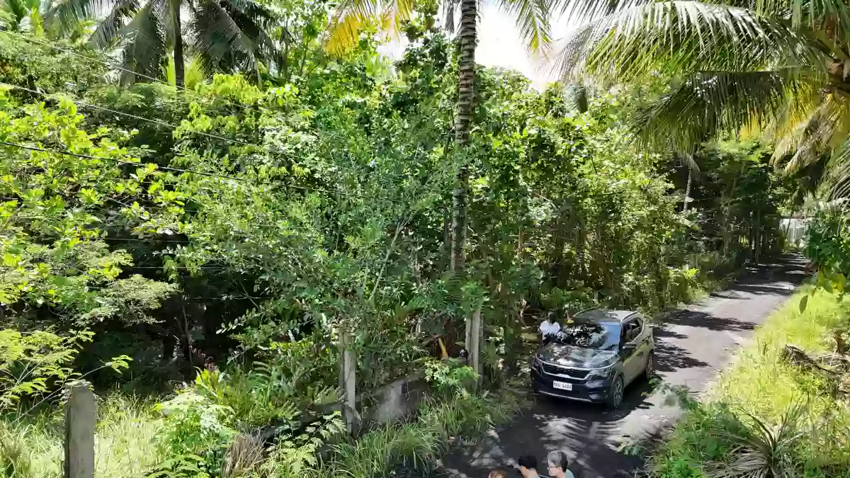 Rush Sale: Prime 3,500 SQM Lot in Lagao, General Santos City — Residential Lot in Katangawan, Gen. Santos City, South Cotabato — Photo 5