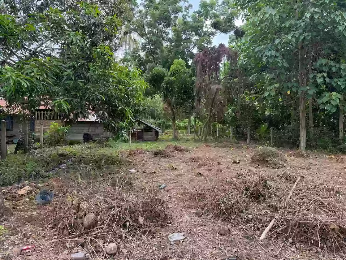 For Sale: Agricultural Lot in Poblacion, Naawan — 1299 sqm — Agricultural Lot in Poblacion, Naawan, Misamis Oriental — Photo 2