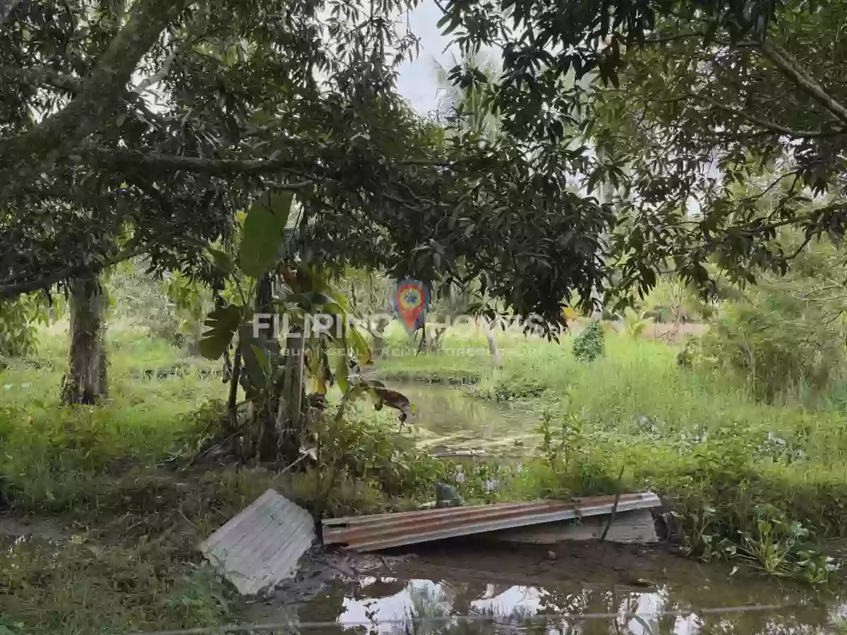 🌴 LOT FOR SALE in Kiwanan, Midsayap! 🏡✨ — Agricultural Lot in Midsayap, Cotabato, 9410 — Photo 6