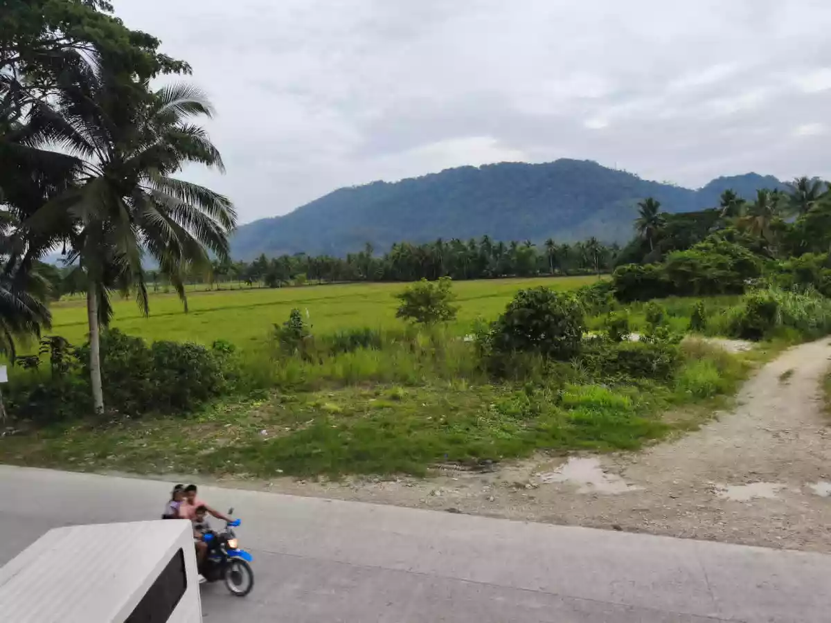 FOR SALE: Residential Lot in Barangay 5 (Pob.), San Francisco — 22,286 sqm — Residential Lot in San Francisco, Agusan del Sur, 8501 — Photo 2