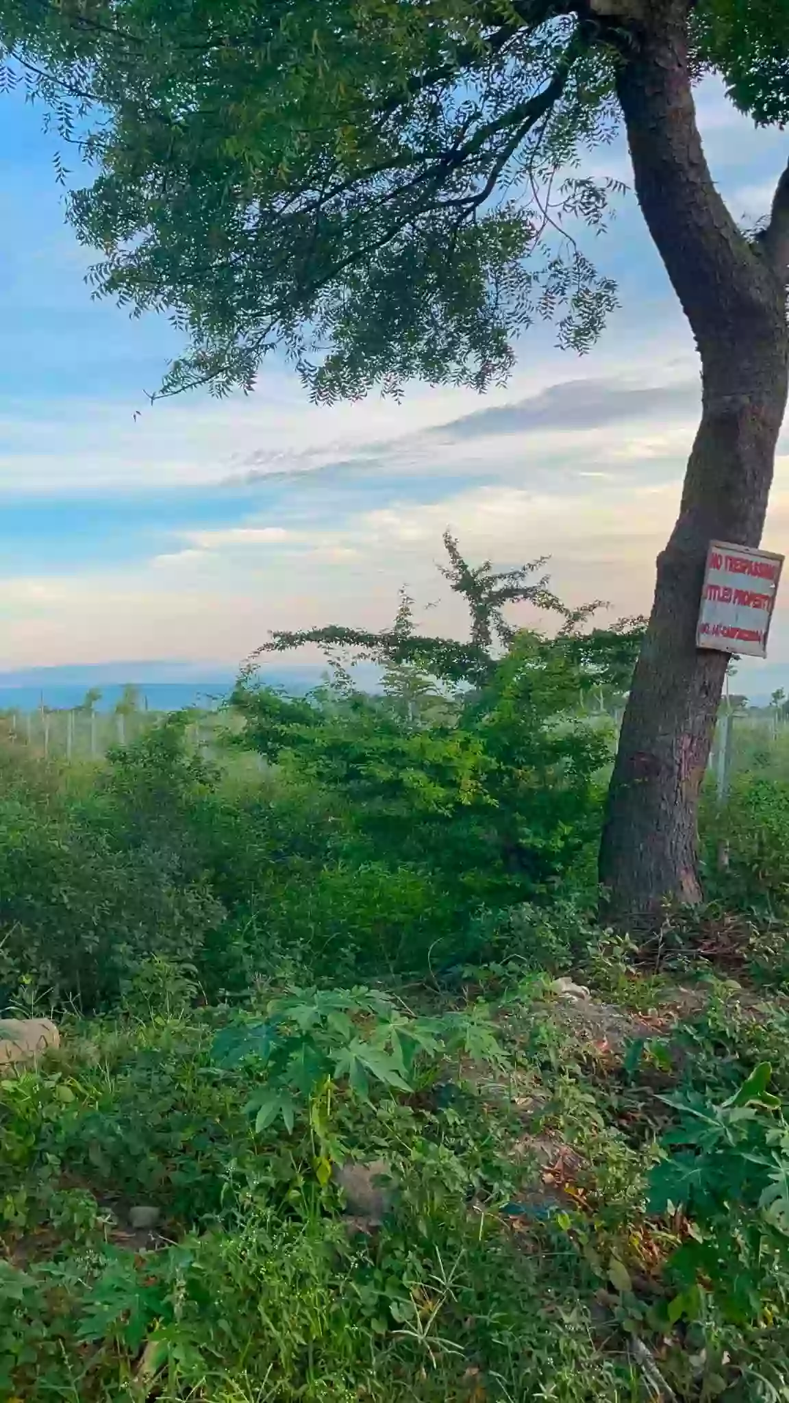 For Sale: Residential Lot in San Jose, General Santos City — 1500 sqm — Residential Lot in General Santos City, South Cotabato, 9500 — Photo 2
