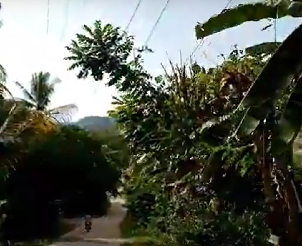 For Sale: Residential Lot in Luinab, Iligan City — 995 sqm — Residential Lot in Iligan City, Luinab, Iligan City — Photo 2