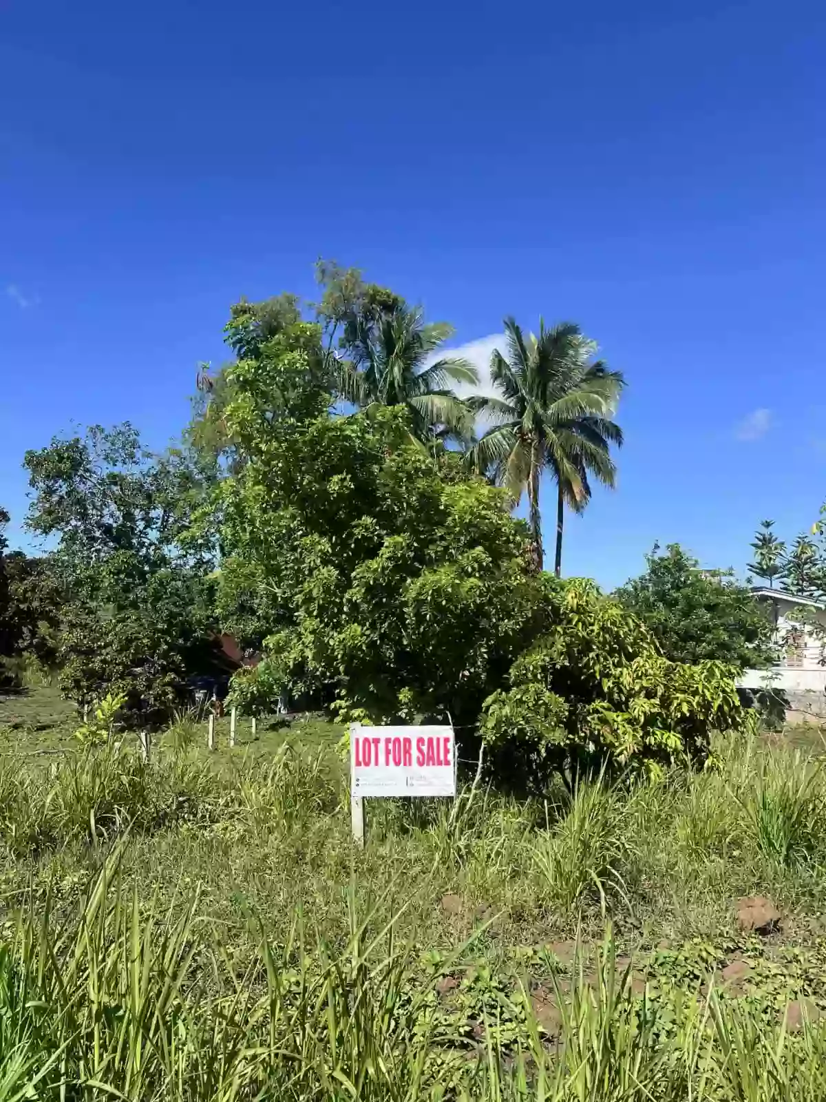 For Sale: Residential Lot in Buck Estate, Alfonso — 375 sqm