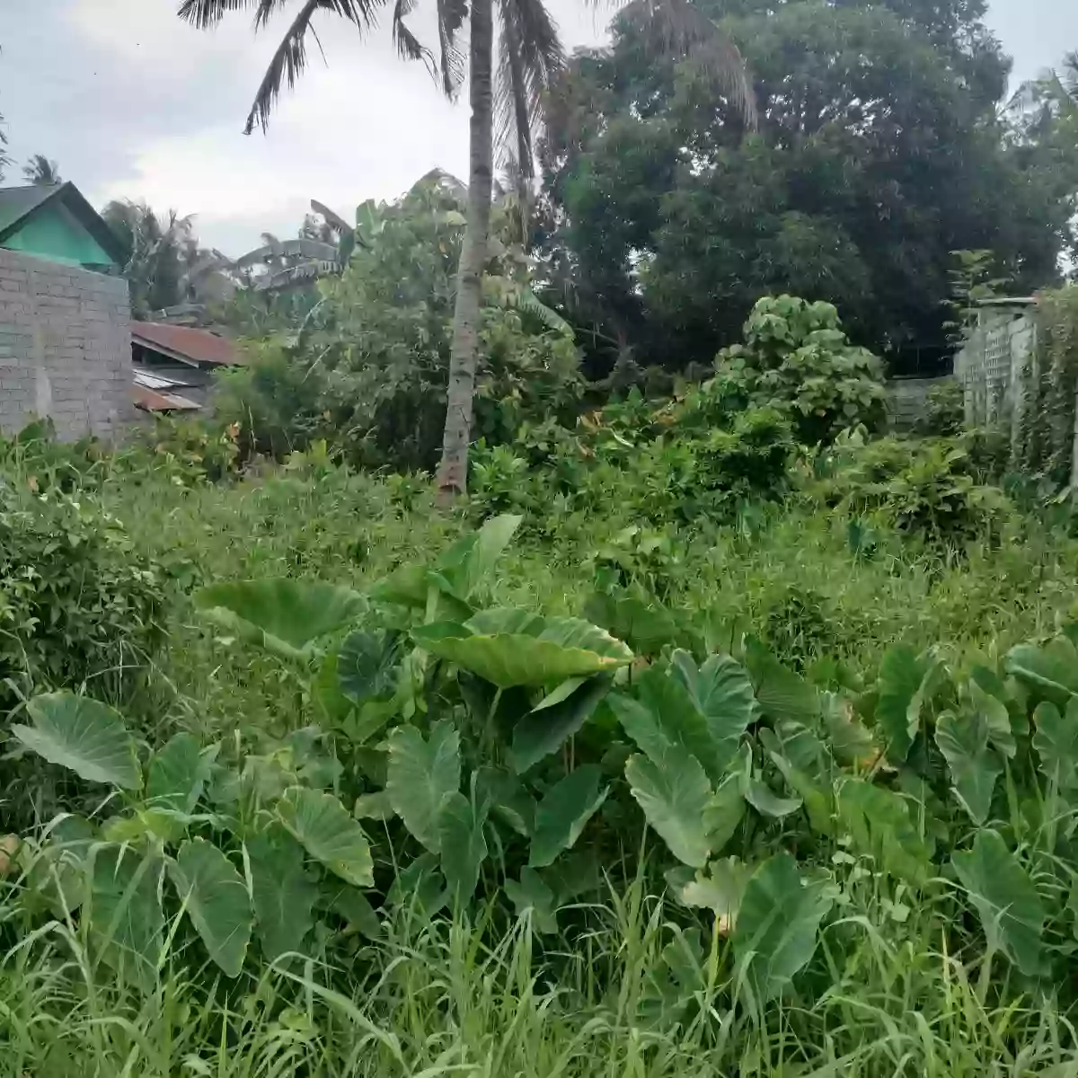 Lot for Sale at Hicban Near Malls at General Santos City — Residential Lot in Lagao (1st & 3rd), Gen. Santos City, South Cotabato — Photo 2