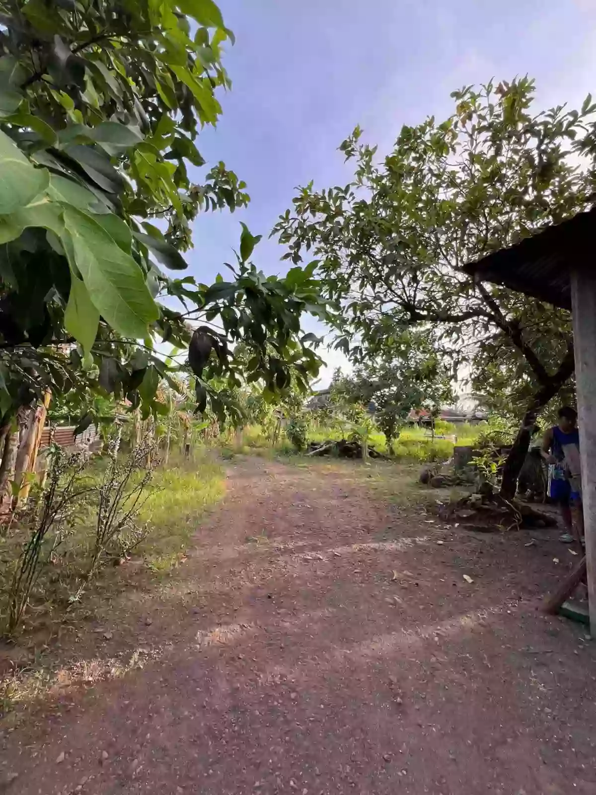 For Sale: 3BR House and Lot in San Pedro, Alegria — 737 sqm — House and Lot in Alegria, Surigao del Norte, 8425 — Photo 4