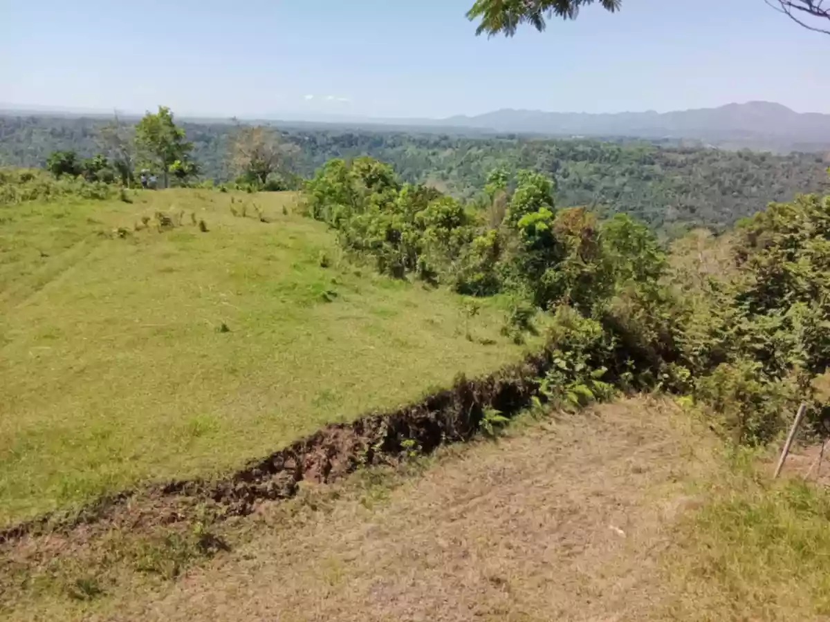 Agricultural Land For Sale!! — Agricultural Lot in Libuna, Bukidnon, 8706 — Photo 4